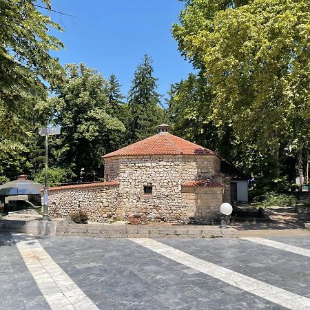 Sokobanja Apartman Aleksa 외부 사진