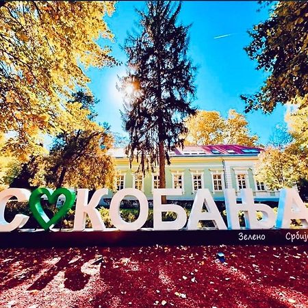 Sokobanja Apartman Aleksa 외부 사진