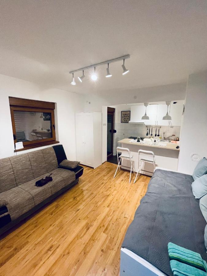 Sokobanja Apartman Aleksa 외부 사진