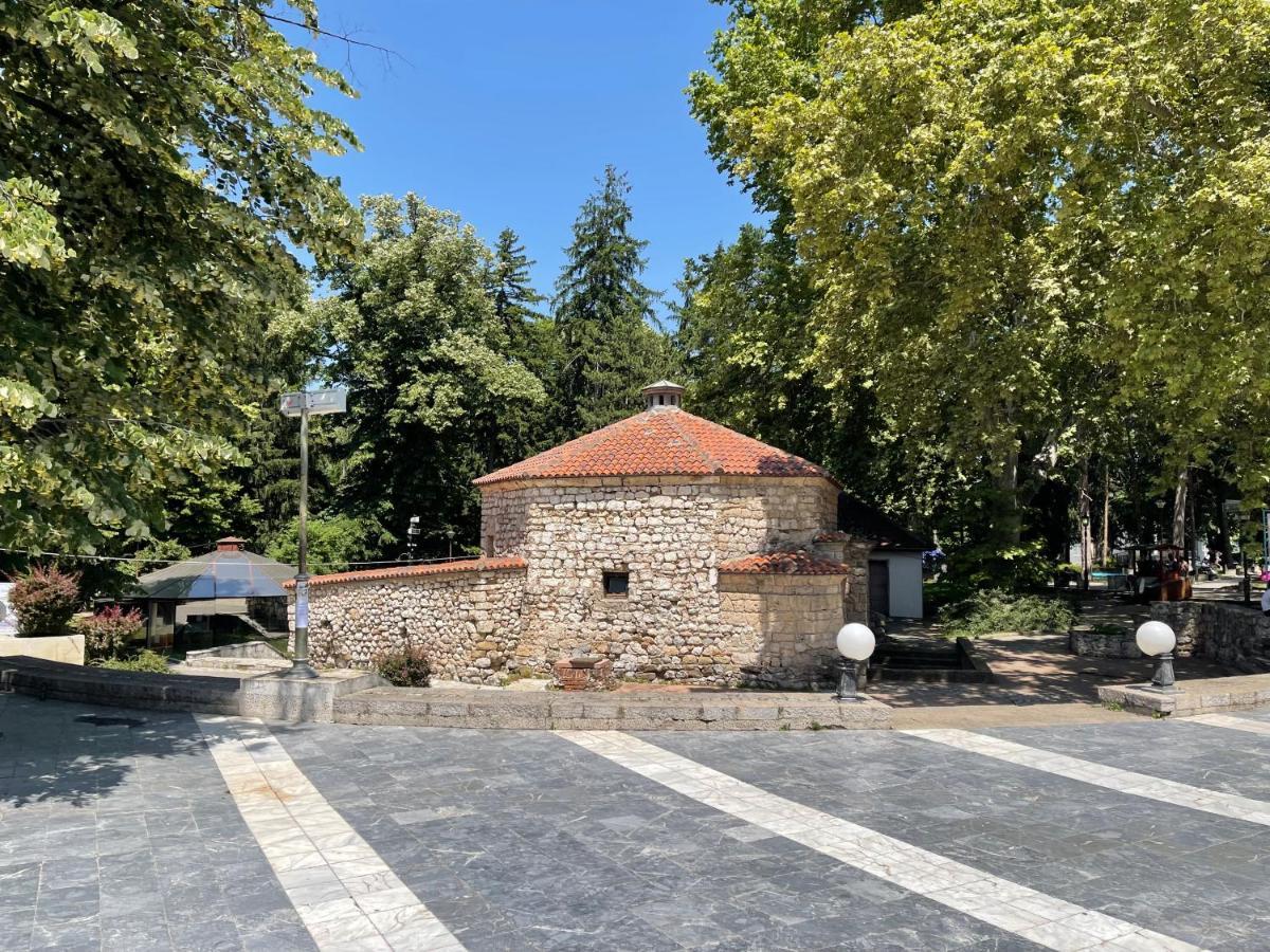 Sokobanja Apartman Aleksa 외부 사진
