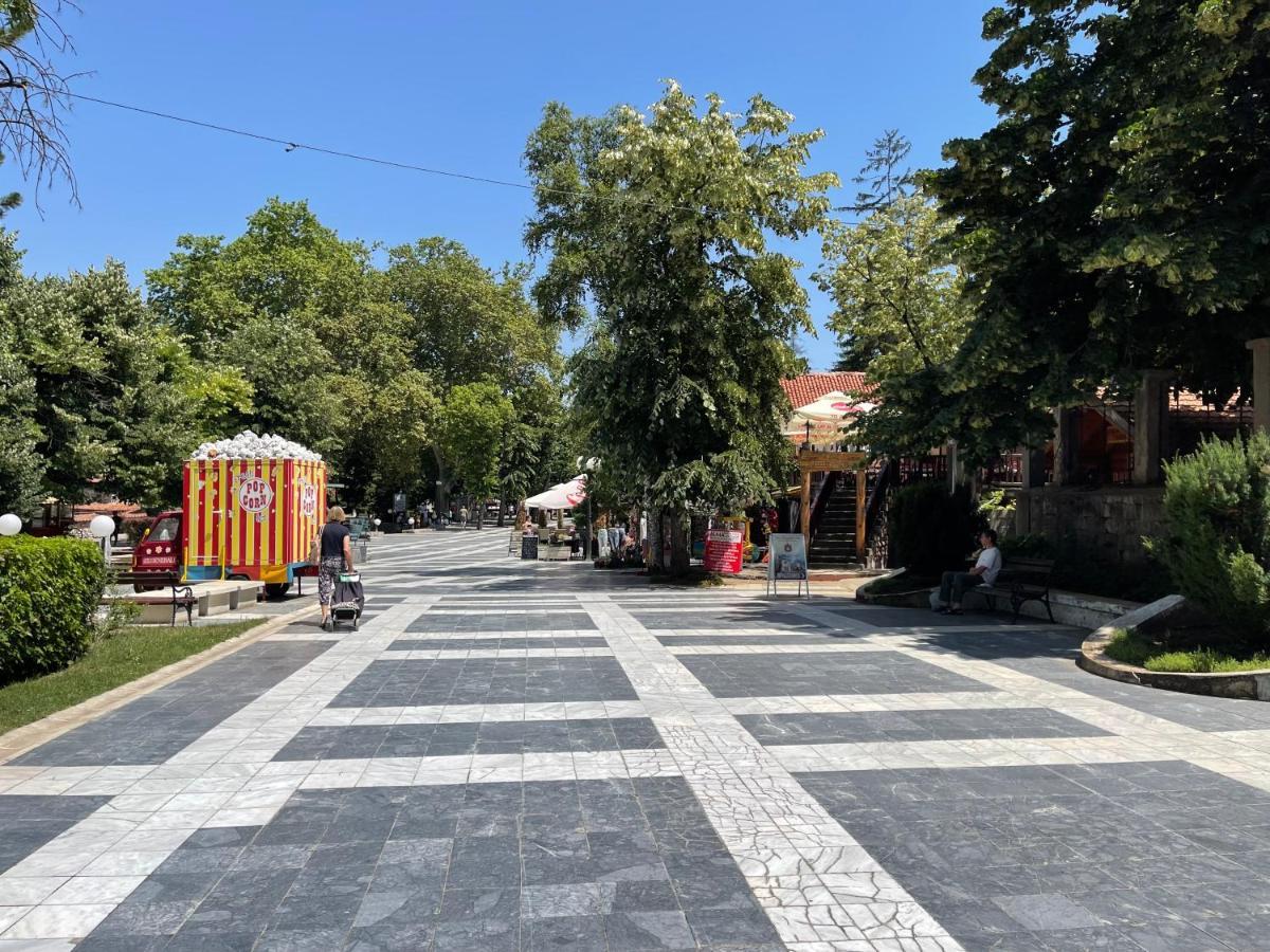 Sokobanja Apartman Aleksa 외부 사진