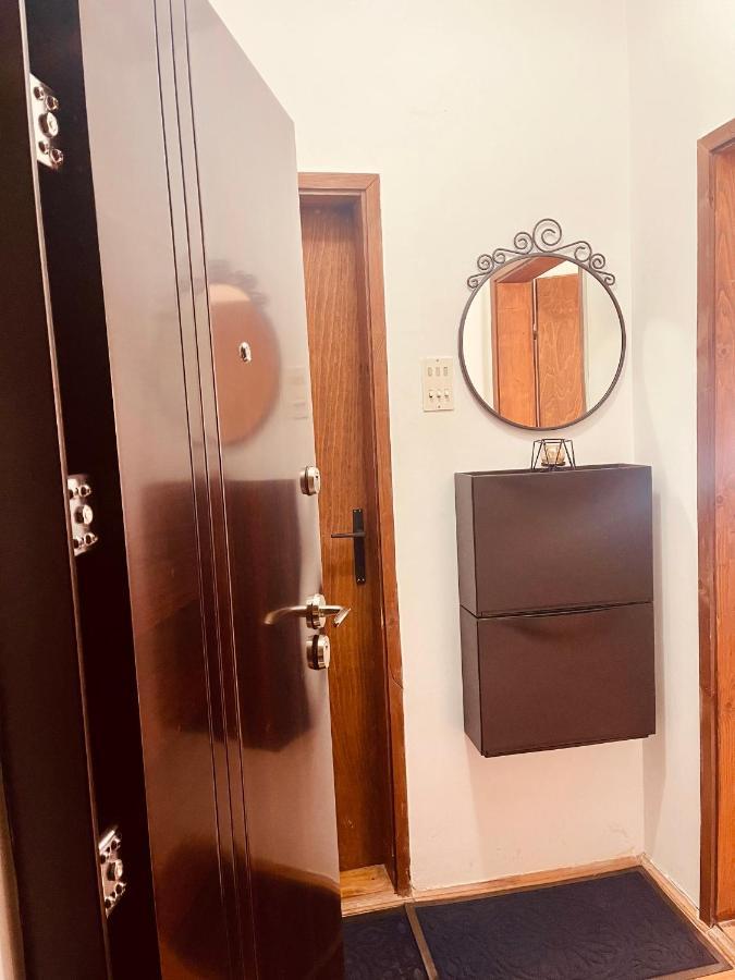 Sokobanja Apartman Aleksa 외부 사진