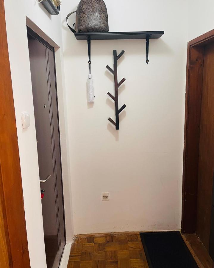 Sokobanja Apartman Aleksa 외부 사진